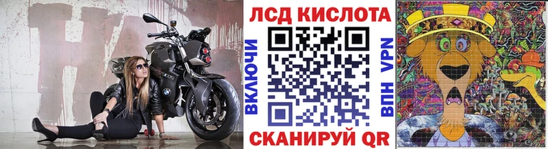 KRAKEN как зайти Петропавловск-Камчатский Марки NBOMe 1,5мг